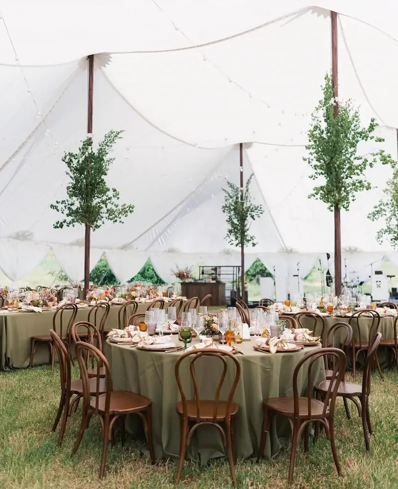 Round tables in sage green cloths with dark bentwood chairs inside a tall white tent on grass Round tables in sage green cloths with dark bentwood chairs inside a tall white tent on grass