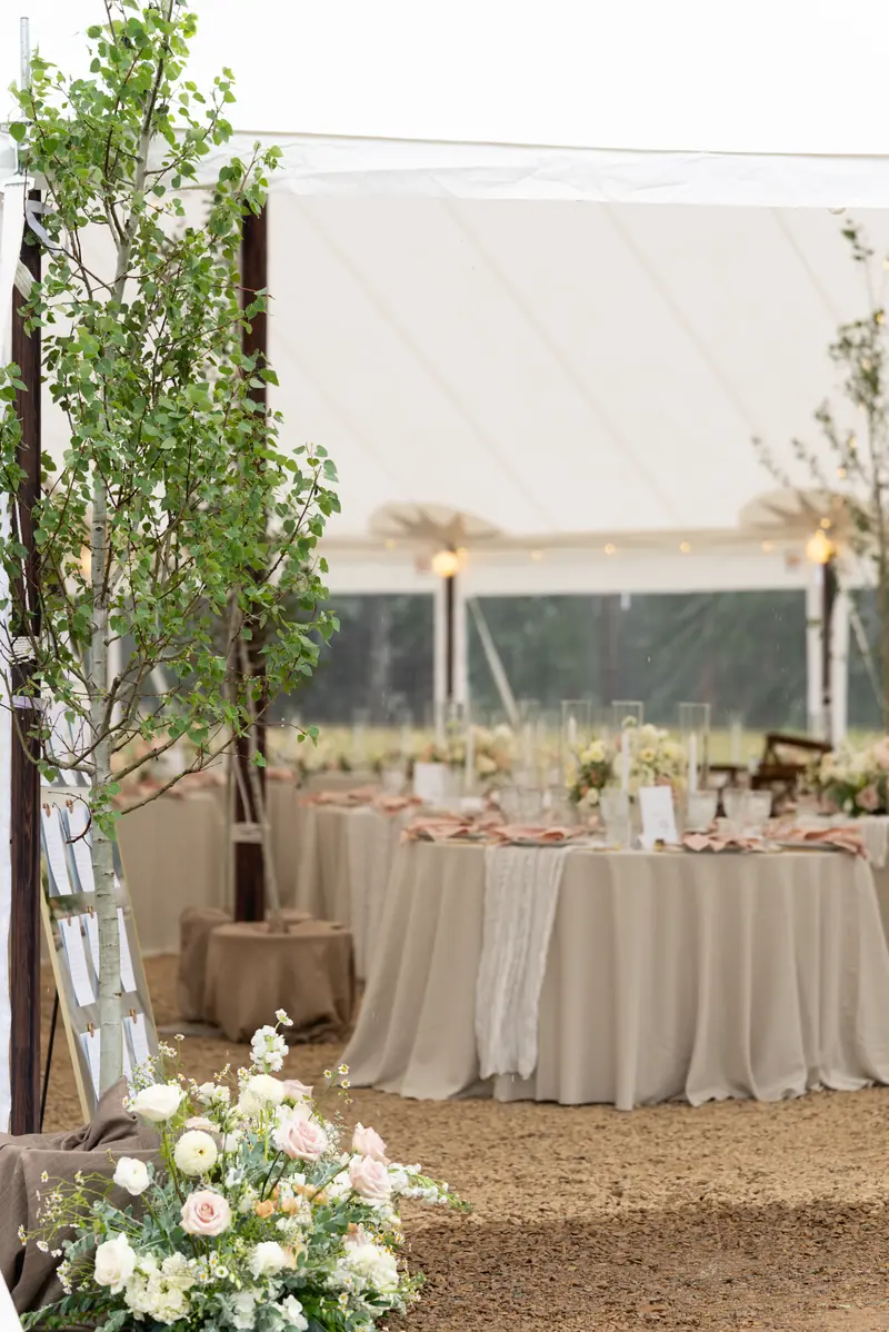 The entrance of a white event tent framed by potted trees and white flowers on gravel The entrance of a white event tent framed by potted trees and white flowers on gravel